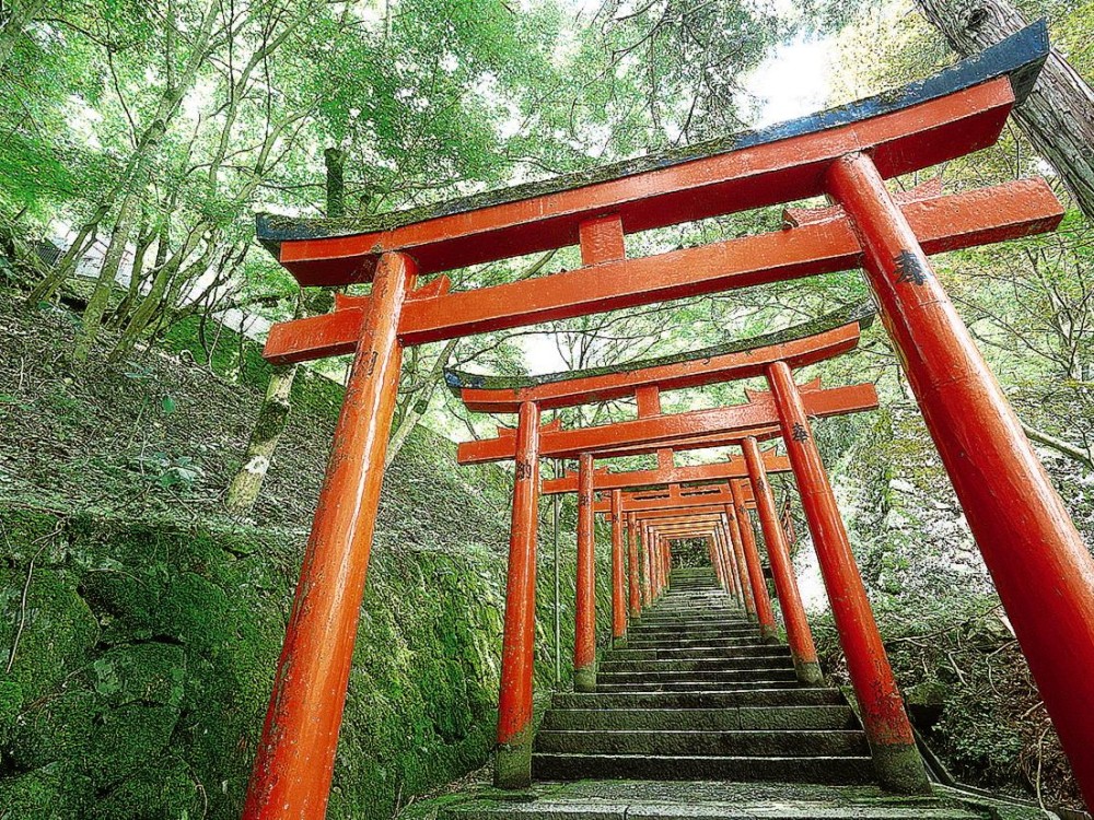 ここに店舗名が入ります。